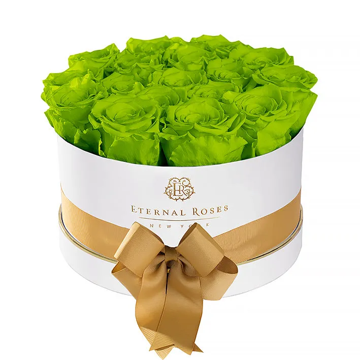 Product image 87